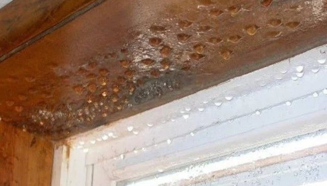 Έχετε στο σπίτι σας υγρασία; Υπάρχει ένας πανεύκολος τρόπος να τη…διώξετε!